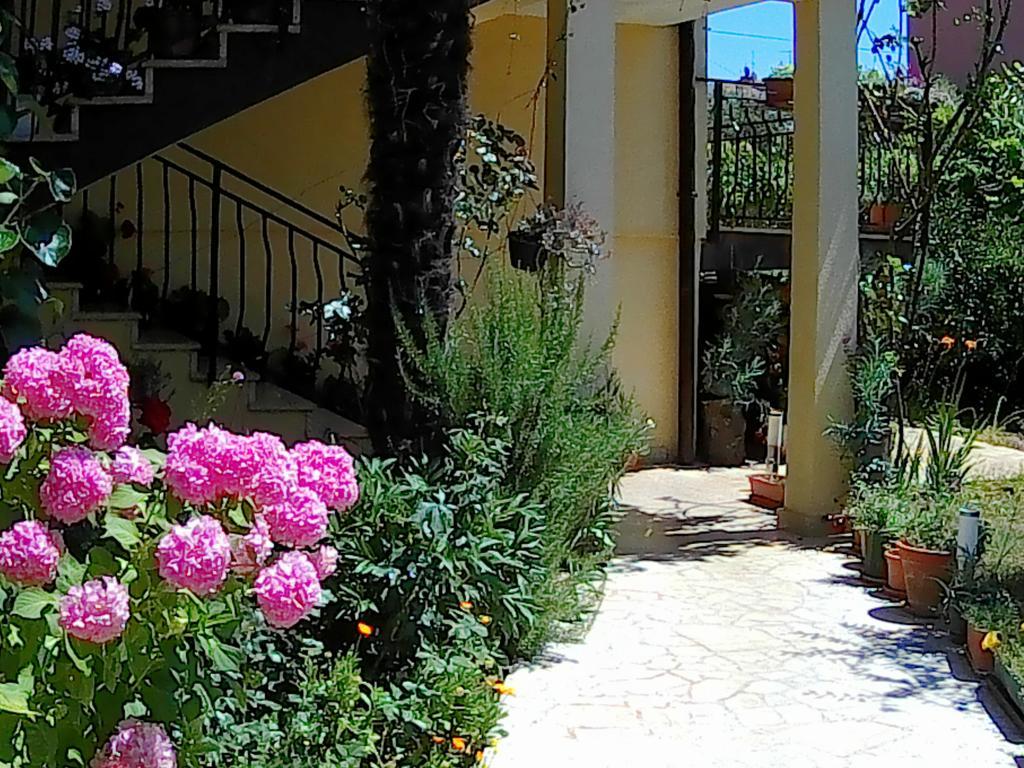 أوماغ Lea Apartment المظهر الخارجي الصورة
